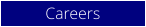 Careers